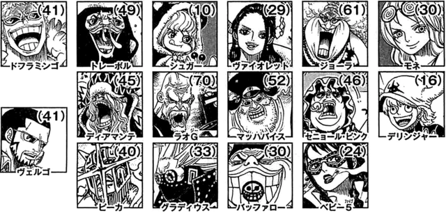 Ages des membres de L'Équipage de Don Quichotte Doflamingo