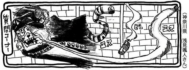SBS 85 Chapitre 854
