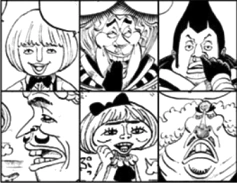 SBS Tome 80 22