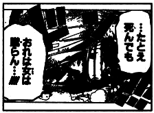 SBS Vol 50 5