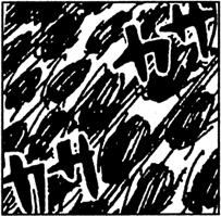 SBS Vol 52 1